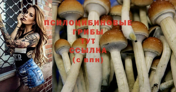 бошки Абинск